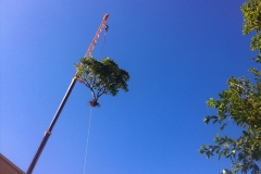 Leibherr-30T-Crane-06